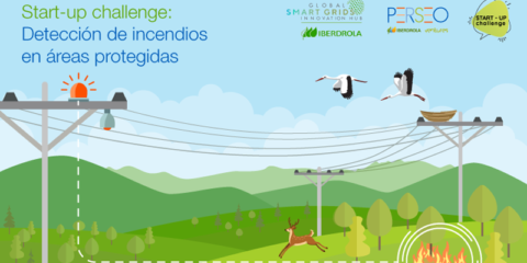 El reto Perseo busca soluciones de detección de incendios en zonas protegidas cerca de líneas eléctricas