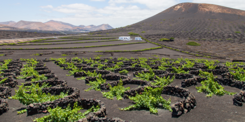 Consulta pública de la ordenanza para favorecer un modelo energético sostenible en Lanzarote