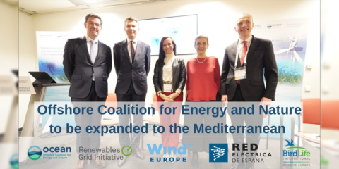 Llega al Mediterráneo la iniciativa OCEaN para impulsar el desarrollo sostenible de la eólica marina