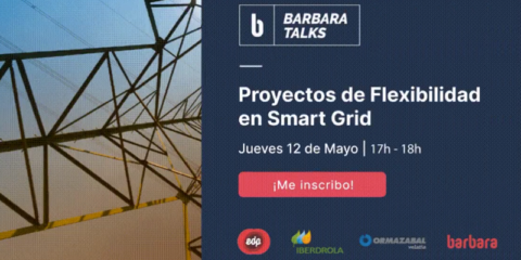 Webinar sobre proyectos innovadores de flexibilidad en smart grid organizado por Barbara