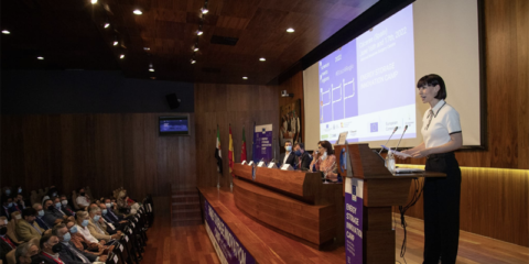 Reunión para el proyecto del Centro de Investigación en Almacenamiento Energético en Extremadura