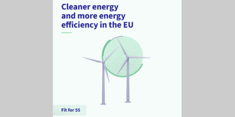 El Consejo Europeo apuesta por objetivos más ambiciosos en renovables y eficiencia energética