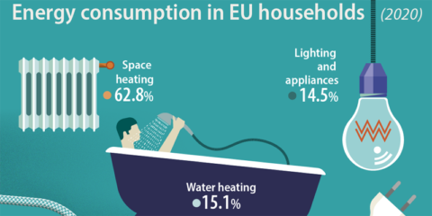 La electricidad representó el 24,8% del consumo de energía final en los hogares europeos en 2020