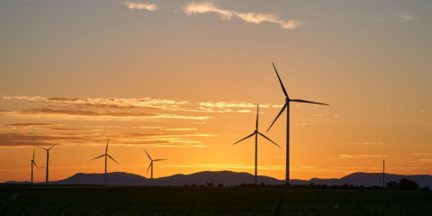 Castilla y León incrementa la protección ambiental de los nuevos parques eólicos y fotovoltaicos