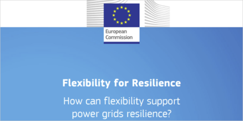 Documento técnico de la CE sobre cómo la flexibilidad puede apoyar la resiliencia de las redes eléctricas
