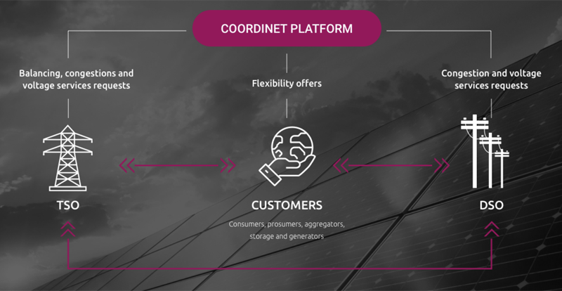 plataforma CoordiNet