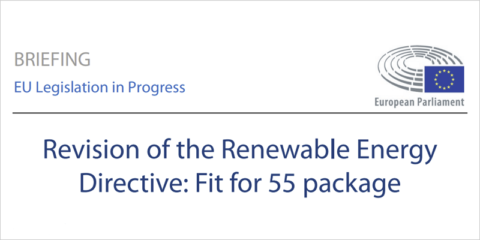 El Parlamento Europeo apoya aumentar al 45% la proporción de energías renovables para 2030