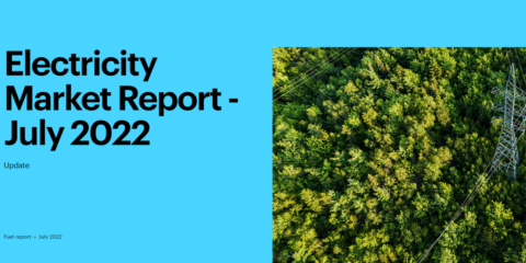 La generación de energía renovable está creciendo más rápido que la demanda general en 2022