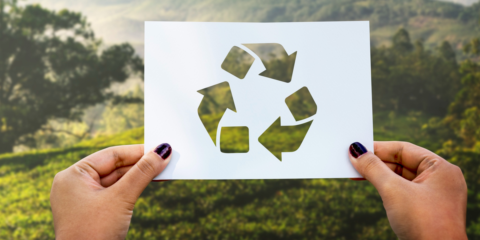 Arranca el proyecto europeo Batraw para recuperar baterías de vehículos eléctricos