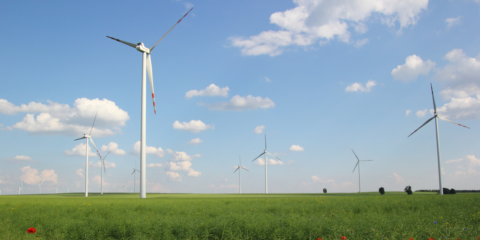 Lanzamiento del segundo módulo del programa de innovación colaborativa Energy Starter 2022