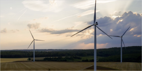 El PE aprueba aumentar al 45% el porcentaje de renovables en el consumo final de energía en 2030