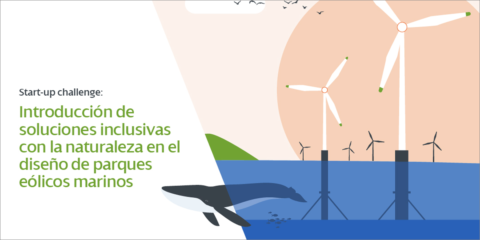 El reto Perseo busca soluciones inclusivas con la naturaleza en entornos de parques eólicos marinos