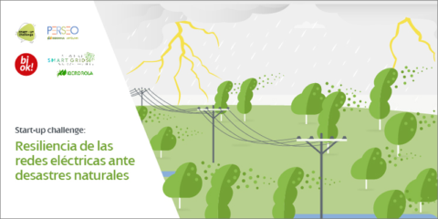 Reto para buscar soluciones que aporten resiliencia a las redes eléctricas ante desastres naturales
