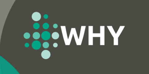 Una encuesta del proyecto WHY evalúa el papel de los consumidores en la transición energética