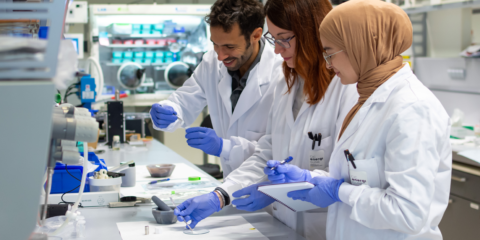 El proyecto Seatbelt impulsa las celdas de batería basadas en ánodo de metal litio