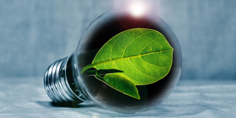 El contrato de suministro eléctrico impulsado por Zaragoza apuesta por las energías renovables