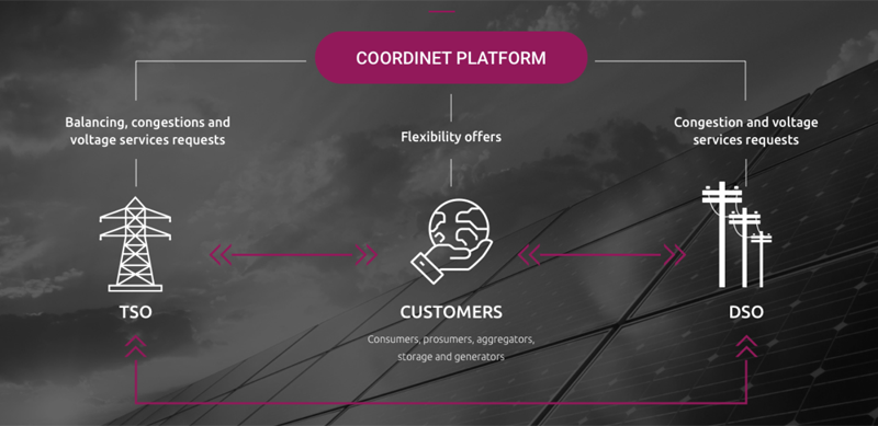 Plataforma del proyecto CoordiNet