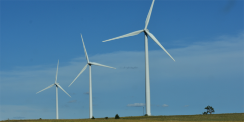 La cuarta subasta de energías renovables solo adjudica 45,5 MW de energía eólica terrestre