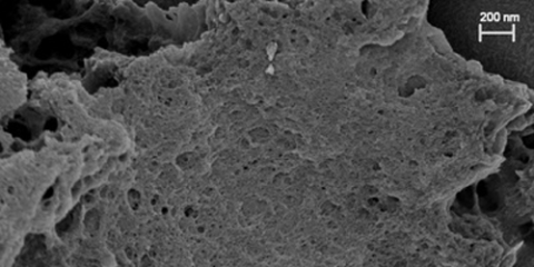 Investigadores logran almacenar hidrógeno en fase húmeda utilizando el carbón como un nanoreactor