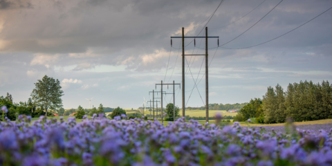 Schneider Electric presenta sus nuevas soluciones y servicios para resolver los retos de la red eléctrica