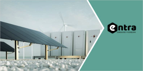 Documento para el despliegue del almacenamiento como herramienta de flexibilidad de la demanda