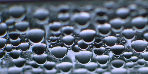 El CSIC investiga una solución distinta para la producción de hidrógeno verde a partir de bacterias