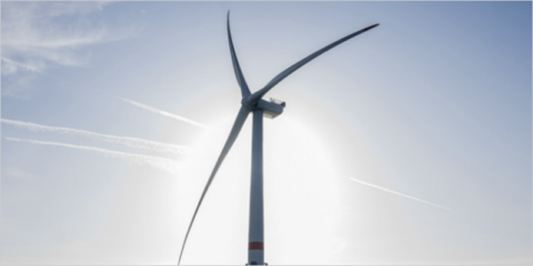 El Parlamento Europeo adopta una resolución para impulsar la industria de energía limpia