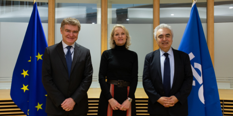 El proyecto de apoyo técnico al plan REPowerEU se cierra con la ayuda a 17 países de la UE