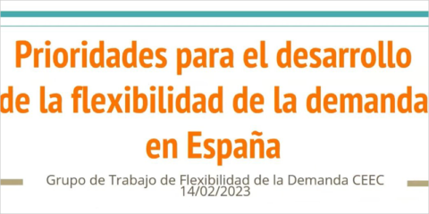 Informe de CEEC sobre las prioridades para el desarrollo de la flexibilidad de la demanda