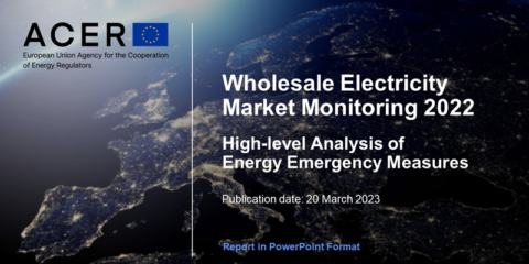 ACER publica un inventario de las medidas de emergencia energética adoptadas por los países de la UE