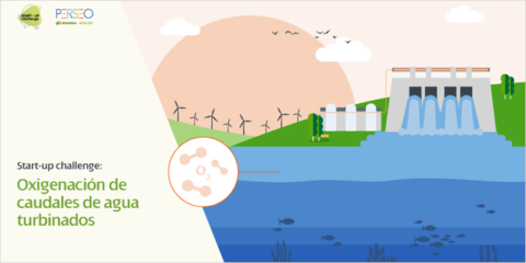 Un nuevo start-up challenge busca soluciones para la oxigenación del agua turbinada en presas hidráulicas