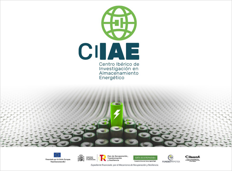 Logo Centro Ibérico de Investigación en Almacenamiento Energético (CIIAE). 