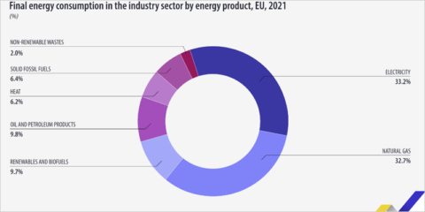 El sector industrial representó el 25,6% del consumo de energía final de la Unión Europea en 2021