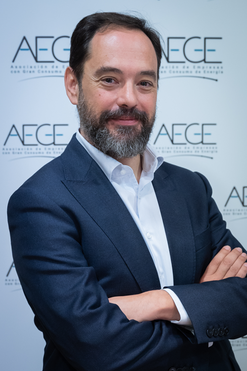 Pedro González, director general de AEGE