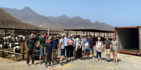 El proyecto Remote culmina la instalación de sistemas piloto de almacenamiento de hidrógeno