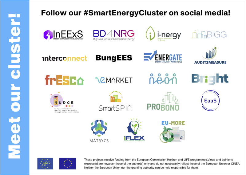 Smart Energy Cluster