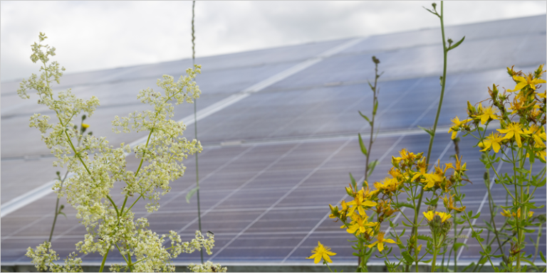 planta fotovoltaica