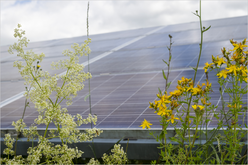 planta fotovoltaica