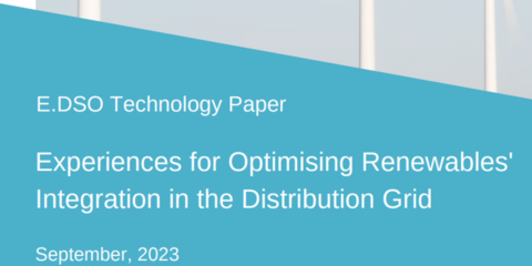 Experiencias y recomendaciones para optimizar la integración de las renovables en la red de distribución