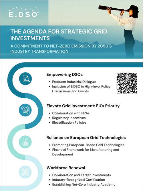 Agenda E.DSO para inversiones estratégicas en redes’