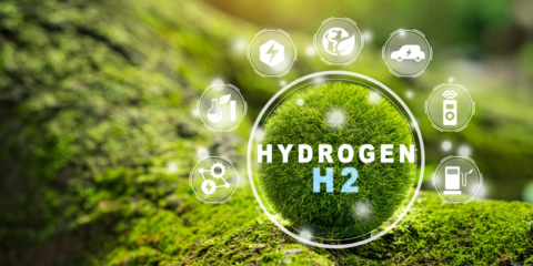 Webinar sobre los términos y condiciones de la primera subasta de hidrógeno renovable en Europa