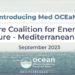 Med OCeaN, nueva Coalición Offshore para la Energía y la Naturaleza en el Mar Mediterráneo