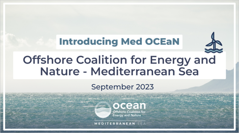 Med OCeaN, nueva Coalición Offshore para la Energía y la Naturaleza en el Mar Mediterráneo 