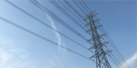 Convenio para la modernización y disminución del impacto ambiental de la red eléctrica de Urdaibai