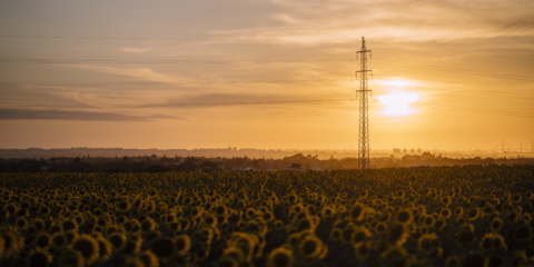 Más de 600 MW de respuesta activa de la demanda en 2024 para el sistema eléctrico peninsular