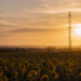 Más de 600 MW de respuesta activa de la demanda en 2024 para el sistema eléctrico peninsular