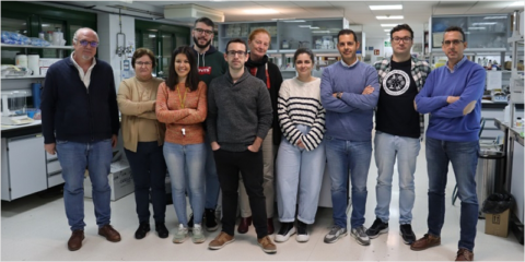 La Universidad de Córdoba desarrolla un prototipo de batería que funciona con hemoglobina