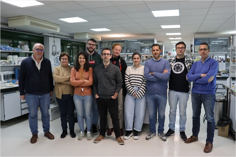 Grupos de investigación de Química Física (FQM-204) y Química Inorgánica (FQM-175) de la Universidad de Córdoba (UCO).