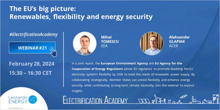 Webinar sobre energías renovables, flexibilidad y seguridad energética en la Unión Europea