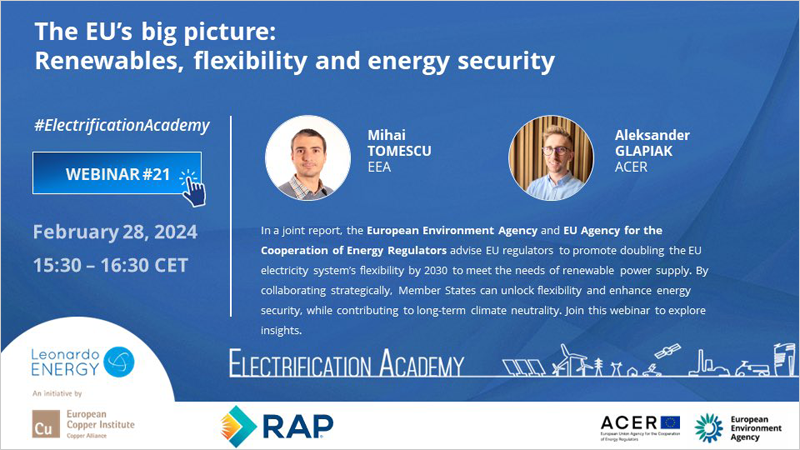 Webinar sobre energías renovables, flexibilidad y seguridad energética en la Unión Europea